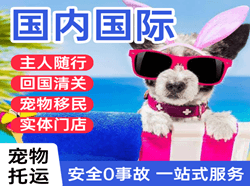 河东空运地址国际宠物托运 【国
